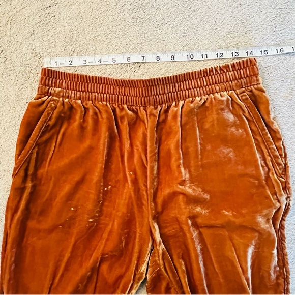 Madewell Gold Velvet Track Pants, size M - Picture 13 of 15
